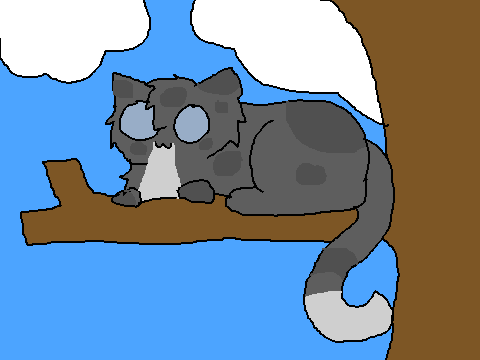 Cat CCE