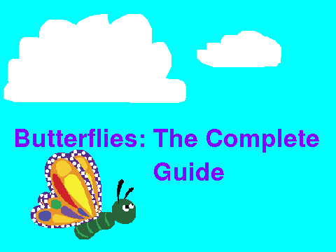 Butterflies in a nutshell