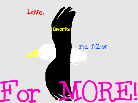 Eagle (a poem) 