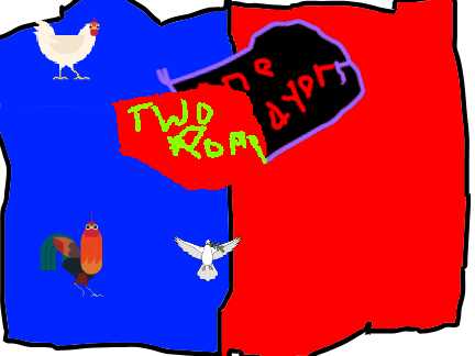 Bird battle