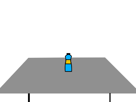 Water Bottle Flip