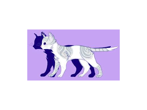 Cat art:)