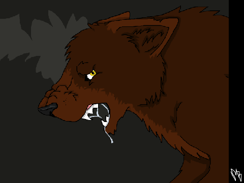 ~ I N    T H E    D A R K ~