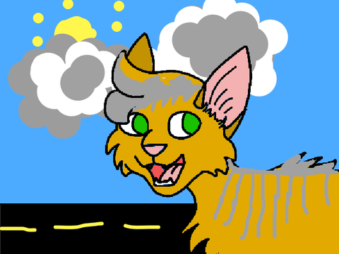 Roar CCE