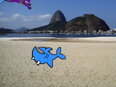Shark Attack!