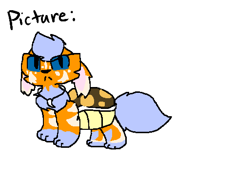 Lava the Squirtle + Flareon