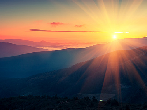 Dawn (Chapter Fifteen)