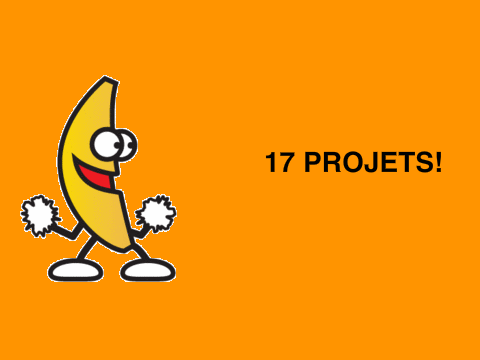 17 projects!