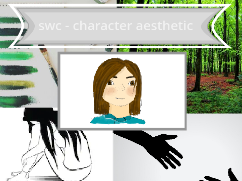 character aesthetic || swc