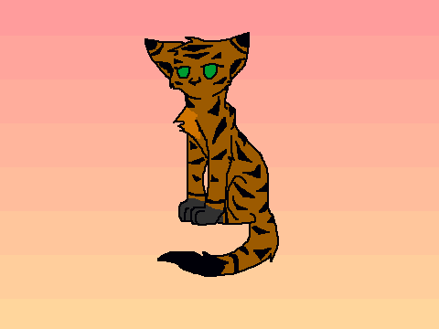 3's M3me (Comet,Raven,and Tiger)