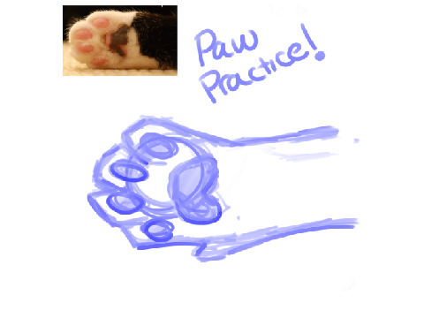 Kitty Paw Practice! :)