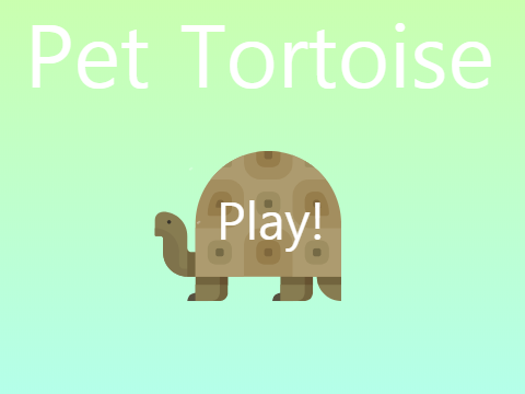 Pet Tortoise