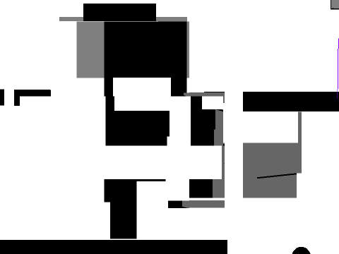 the puzzle