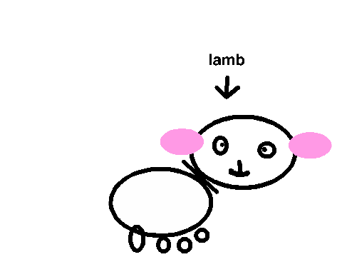 mary had a little lamb!!!!!!!!!!