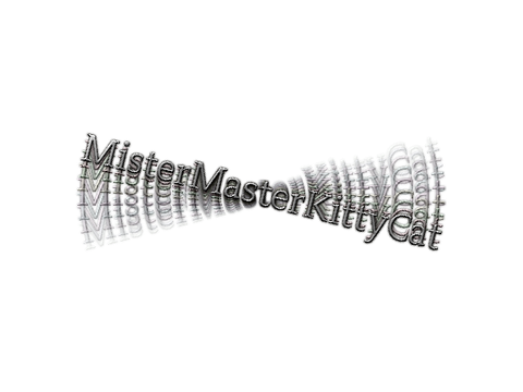 intro for MisterMasterKittyCat
