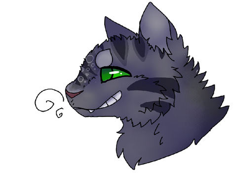 WHEEZE