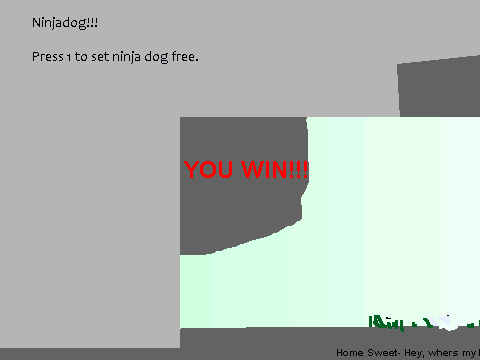 Ninjastory