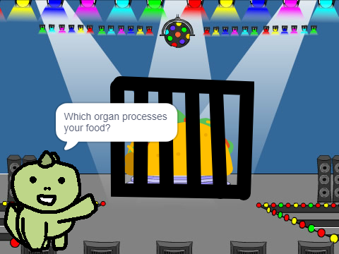 Taco Quiz : Ask and Wait Quiz