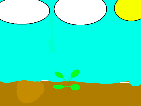 life cycle of plant.