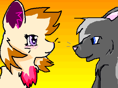 CASHMERE'S MATE CONTEST entry