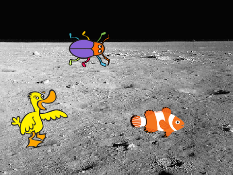 Circular reasoning on the moon.