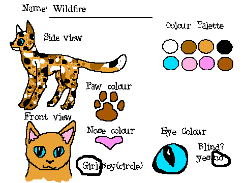 Warrior Cats Create a Cat Character! remix