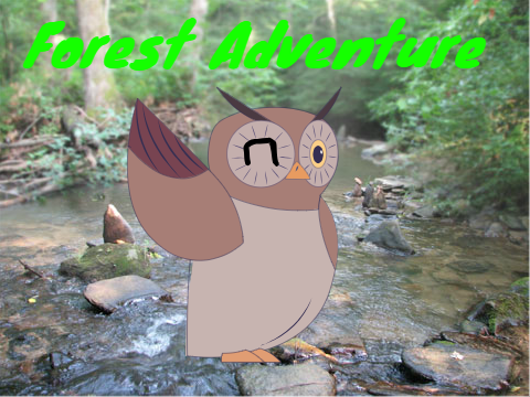 Forest Adventure