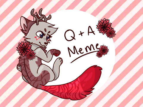 Q&A >MEME<