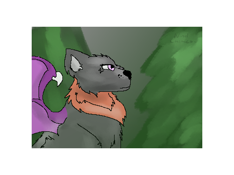 Syrup for @SyrupTheWolf!