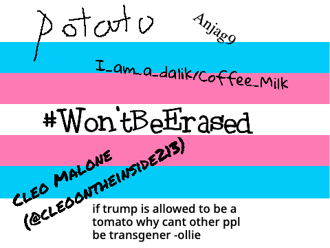 #Won'tBeErased Remix! remix remix remix