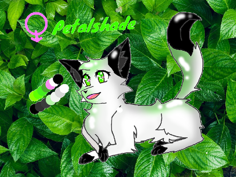 Petalshade - ref sheet