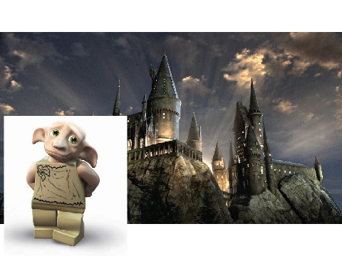 Only true Harry Potter Fans Will Know These !!!!!!!