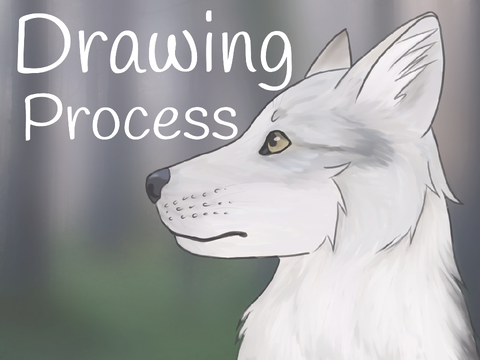 Drawing Process/Tutorial: Semi-Realistic Wolf 