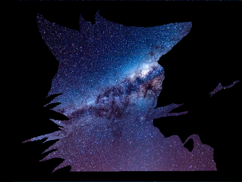 ~*~Stars and Warriors~*~