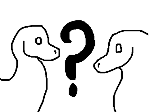 Which style?