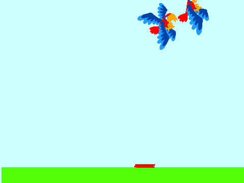 bird