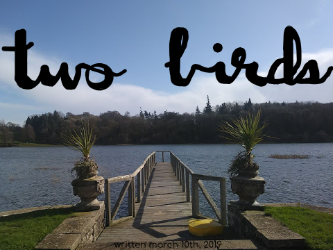 two birds~ a short story
