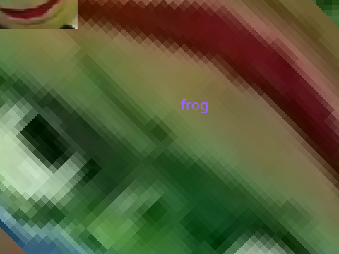 frog.