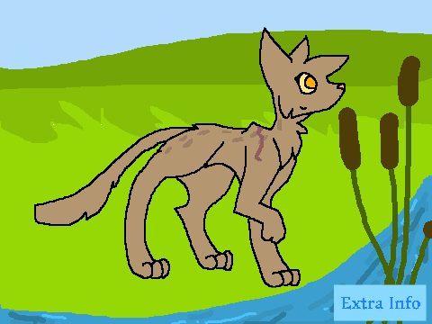 Warrior Cat Generator 