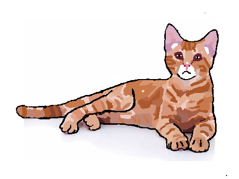 Meow!