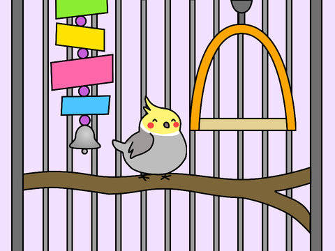 A Day in the Life of a Cockatiel