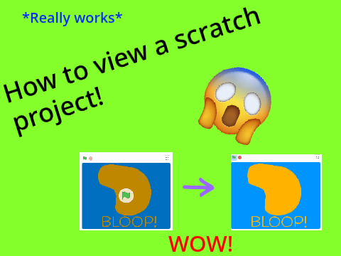 How to view a scratch project
