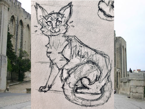 feline feelin' fine