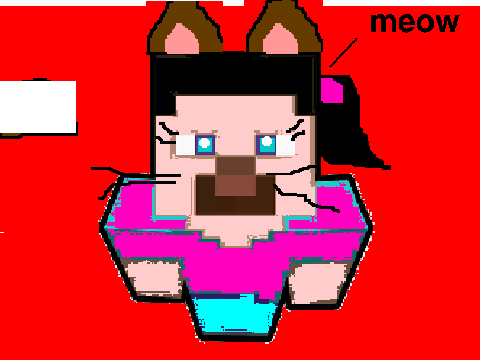 Create your own steve (Contest) remix