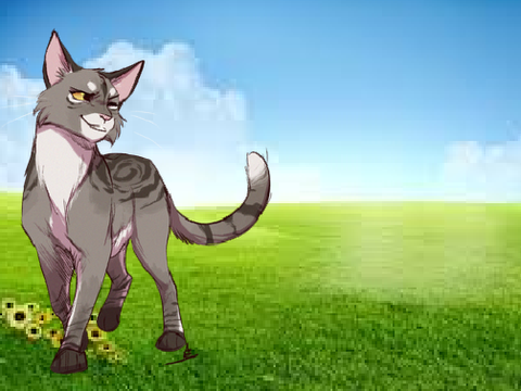 Warrior Cat Name Generator