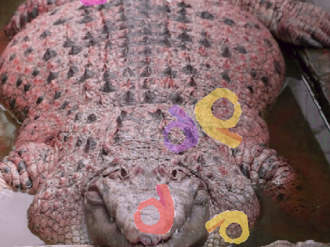 Thiccodile's intense rave
