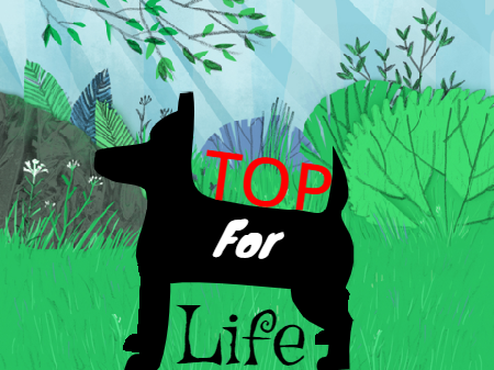 topforlife's Logo!