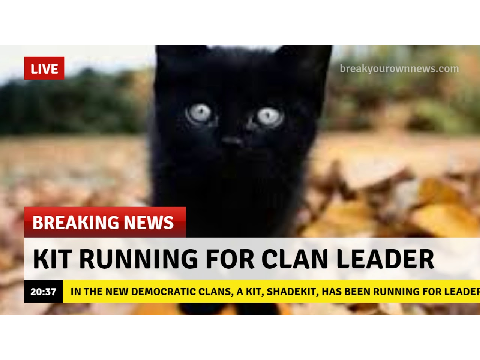 The Warrior Cat News