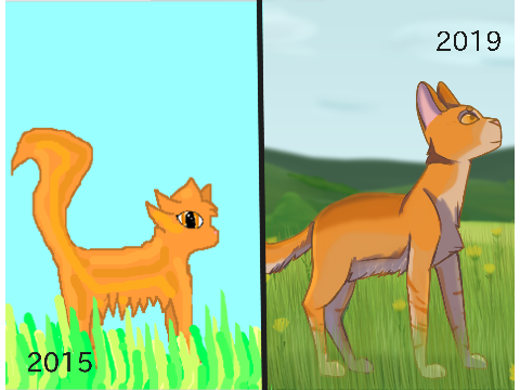 Redraw ~ 2015-2019 ~