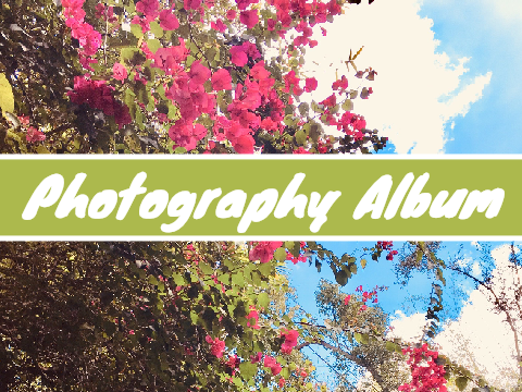 Photography Album